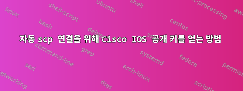 자동 scp 연결을 위해 Cisco IOS 공개 키를 얻는 방법