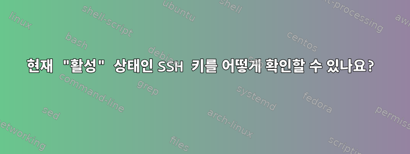 현재 "활성" 상태인 SSH 키를 어떻게 확인할 수 있나요?