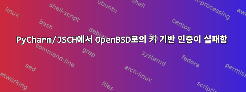 PyCharm/JSCH에서 OpenBSD로의 키 기반 인증이 실패함