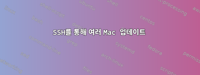 SSH를 통해 여러 Mac 업데이트