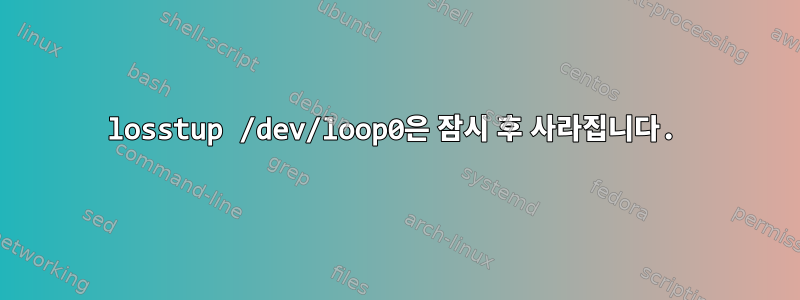 losstup /dev/loop0은 잠시 후 사라집니다.