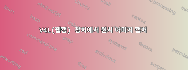 V4L(웹캠) 장치에서 원시 이미지 캡처