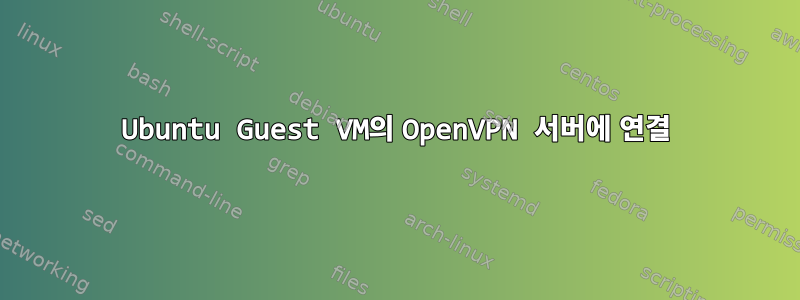 Ubuntu Guest VM의 OpenVPN 서버에 연결