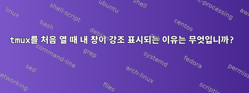 tmux를 처음 열 때 내 창이 강조 표시되는 이유는 무엇입니까?