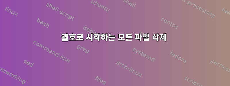 괄호로 시작하는 모든 파일 삭제