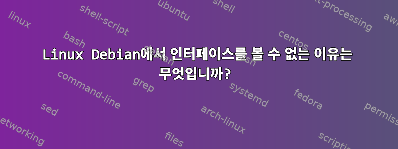 Linux Debian에서 인터페이스를 볼 수 없는 이유는 무엇입니까?