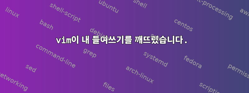 vim이 내 들여쓰기를 깨뜨렸습니다.