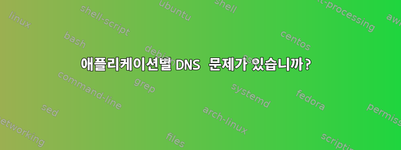 애플리케이션별 DNS 문제가 있습니까?