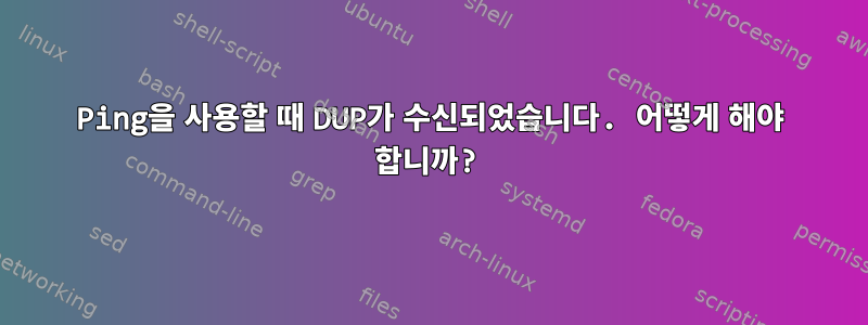 Ping을 사용할 때 DUP가 수신되었습니다. 어떻게 해야 합니까?