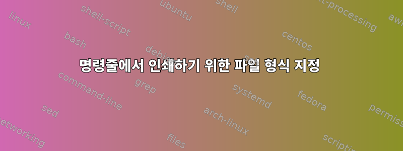 명령줄에서 인쇄하기 위한 파일 형식 지정