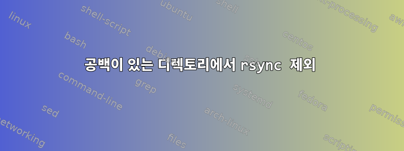 공백이 있는 디렉토리에서 rsync 제외