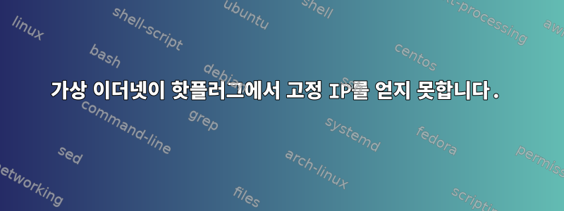 가상 이더넷이 핫플러그에서 고정 IP를 얻지 못합니다.