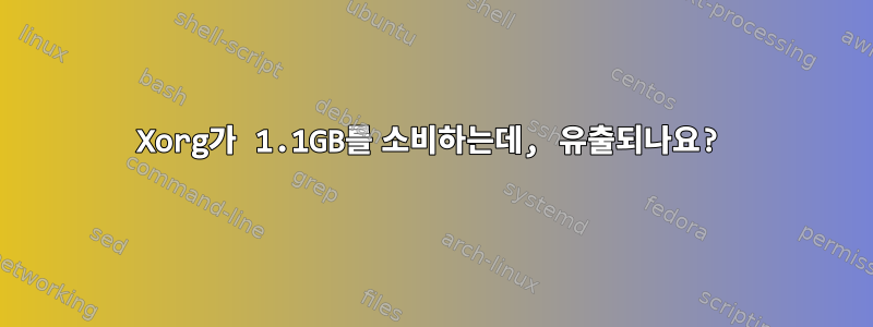 Xorg가 1.1GB를 소비하는데, 유출되나요?