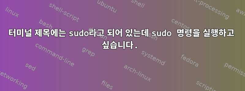 터미널 제목에는 sudo라고 되어 있는데 sudo 명령을 실행하고 싶습니다.