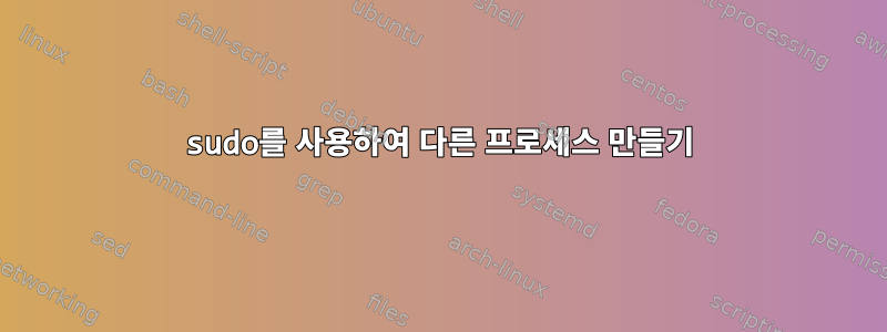 sudo를 사용하여 다른 프로세스 만들기