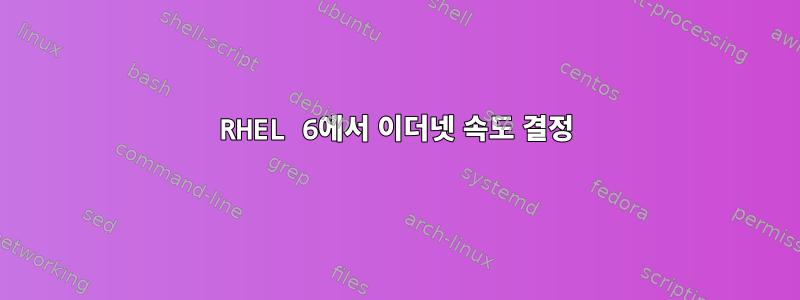 RHEL 6에서 이더넷 속도 결정