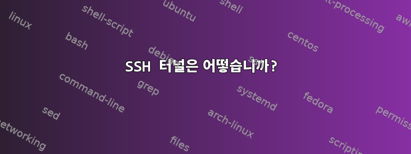 SSH 터널은 어떻습니까?