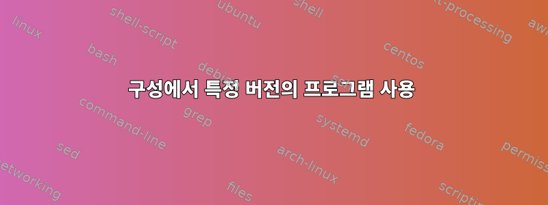 구성에서 특정 버전의 프로그램 사용