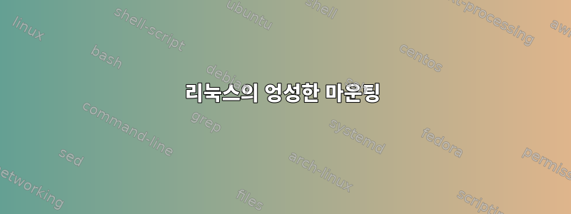 리눅스의 엉성한 마운팅