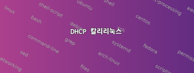 DHCP 칼리리눅스