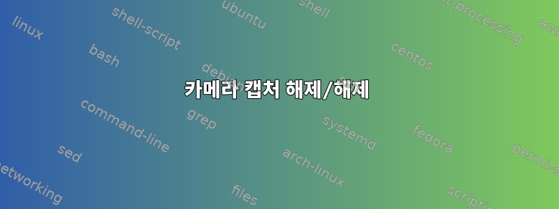 카메라 캡처 해제/해제