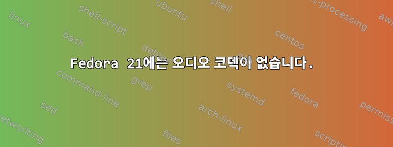 Fedora 21에는 오디오 코덱이 없습니다.