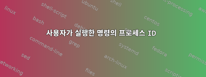 사용자가 실행한 명령의 프로세스 ID