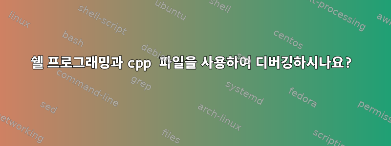 쉘 프로그래밍과 cpp 파일을 사용하여 디버깅하시나요?