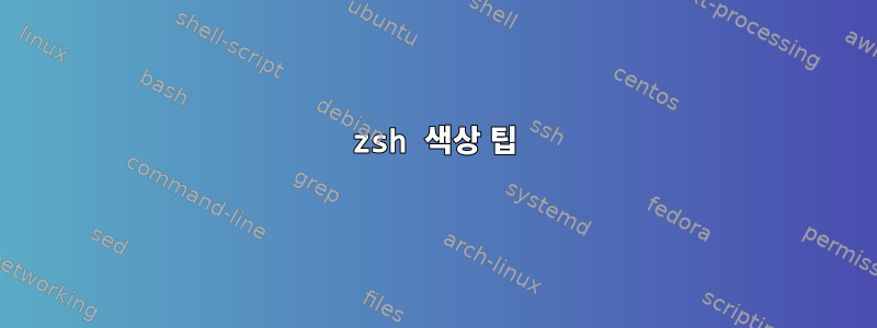 zsh 색상 팁