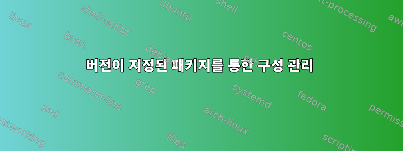 버전이 지정된 패키지를 통한 구성 관리