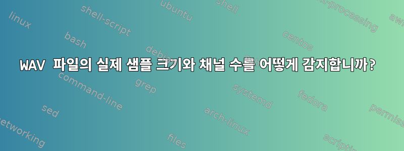 WAV 파일의 실제 샘플 크기와 채널 수를 어떻게 감지합니까?