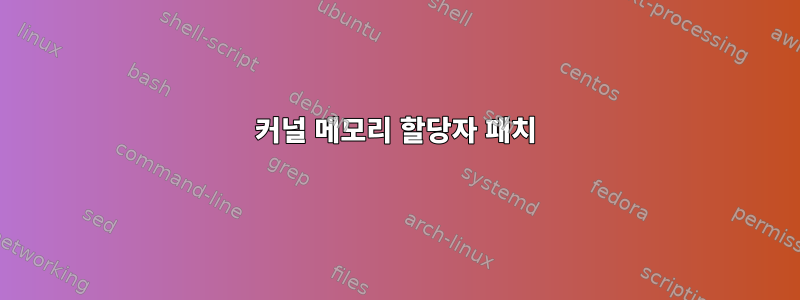 커널 메모리 할당자 패치