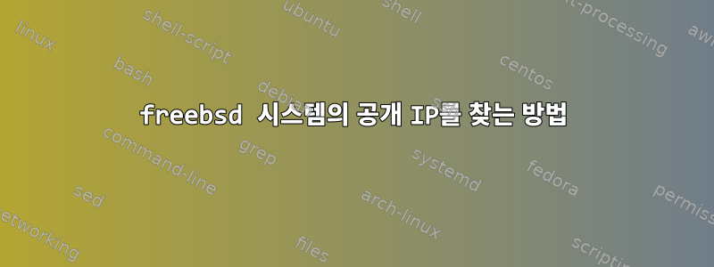 freebsd 시스템의 공개 IP를 찾는 방법