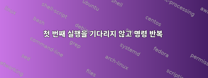 첫 번째 실행을 기다리지 않고 명령 반복