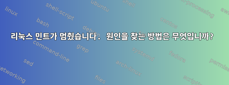 리눅스 민트가 멈췄습니다. 원인을 찾는 방법은 무엇입니까?