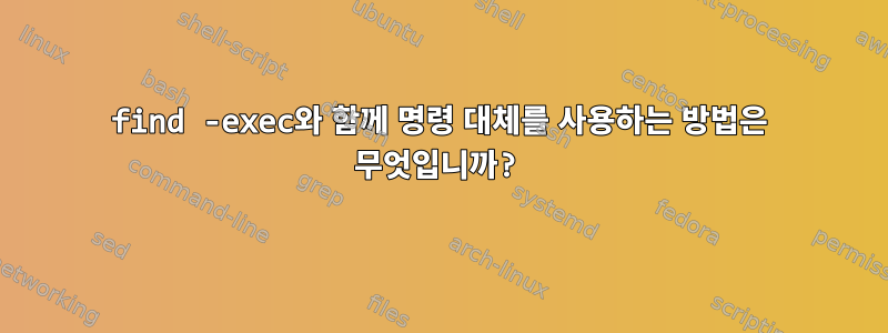 find -exec와 함께 명령 대체를 사용하는 방법은 무엇입니까?