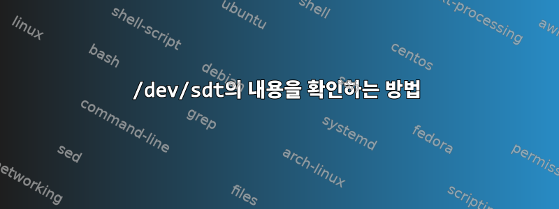 /dev/sdt의 내용을 확인하는 방법