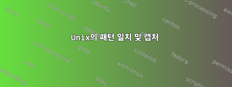 Unix의 패턴 일치 및 캡처