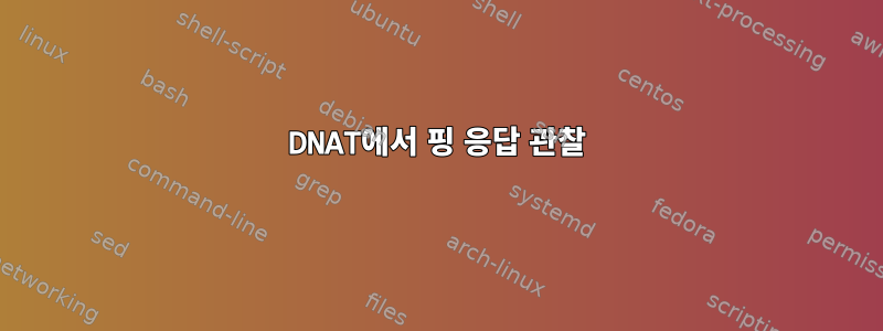 DNAT에서 핑 응답 관찰