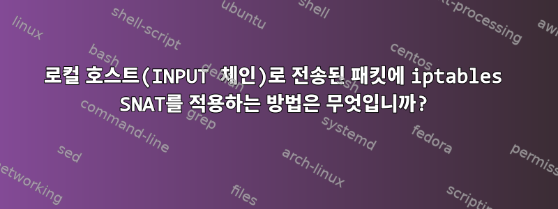 로컬 호스트(INPUT 체인)로 전송된 패킷에 iptables SNAT를 적용하는 방법은 무엇입니까?