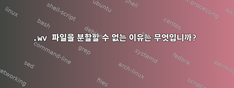 .wv 파일을 분할할 수 없는 이유는 무엇입니까?