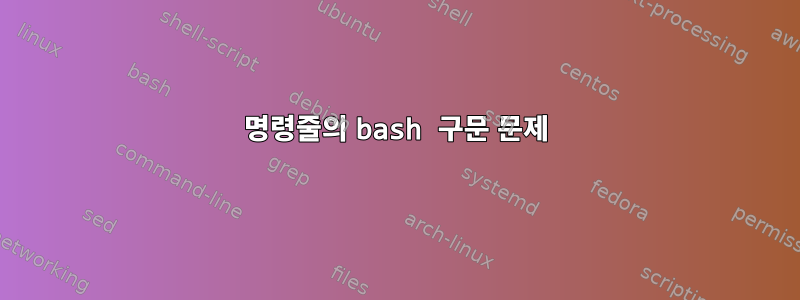 명령줄의 bash 구문 문제