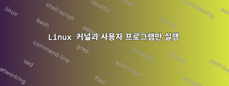 Linux 커널과 사용자 프로그램만 실행