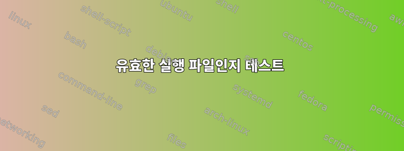 유효한 실행 파일인지 테스트