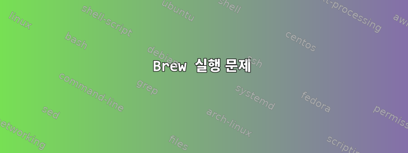 Brew 실행 문제