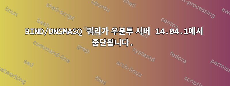 BIND/DNSMASQ 쿼리가 우분투 서버 14.04.1에서 중단됩니다.