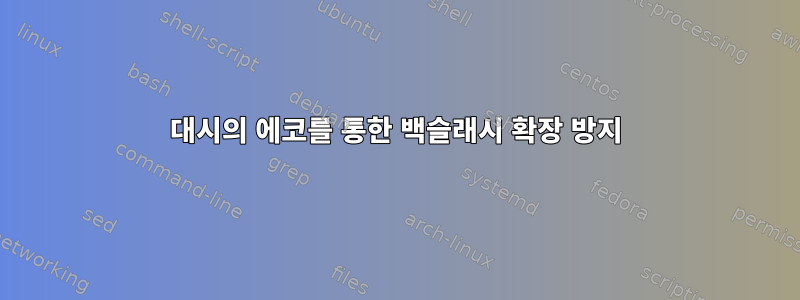 대시의 에코를 통한 백슬래시 확장 방지