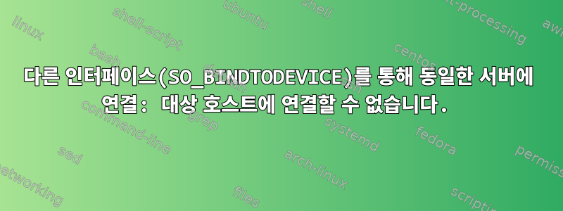 다른 인터페이스(SO_BINDTODEVICE)를 통해 동일한 서버에 연결: 대상 호스트에 연결할 수 없습니다.