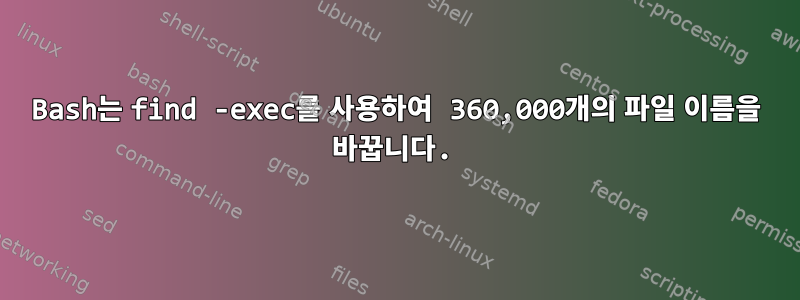 Bash는 find -exec를 사용하여 360,000개의 파일 이름을 바꿉니다.