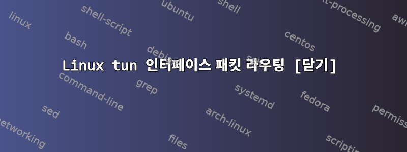 Linux tun 인터페이스 패킷 라우팅 [닫기]